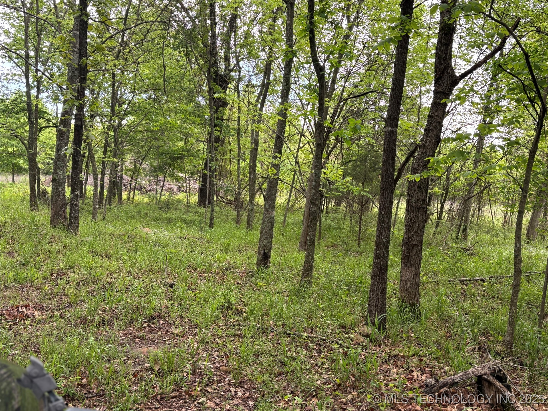 001 E Bolen Hollow W Property Photo 6