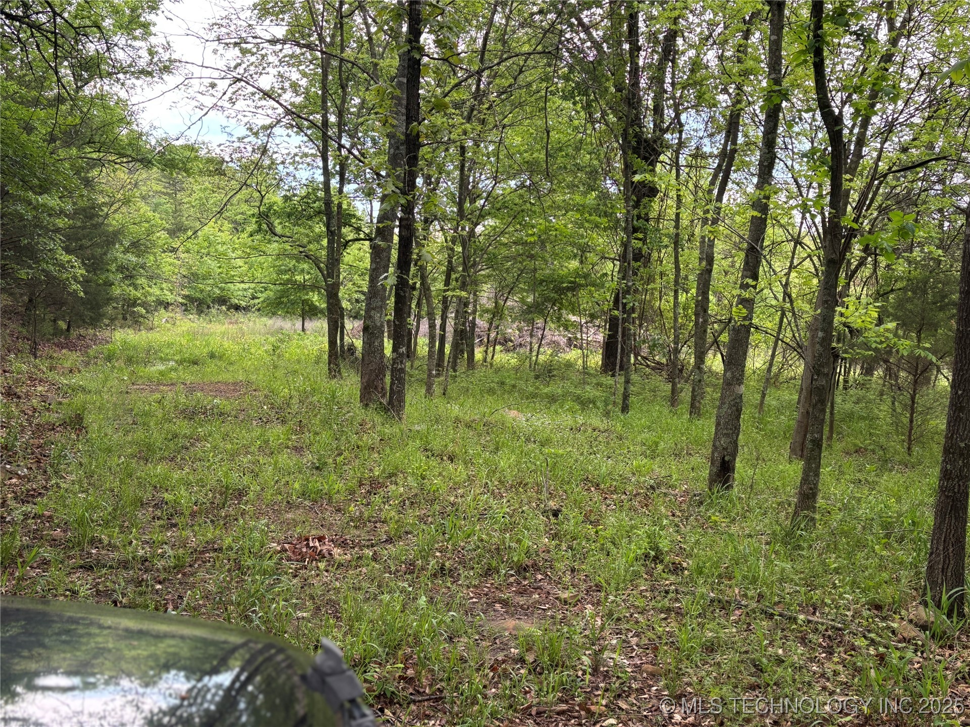 001 E Bolen Hollow W Property Photo 7