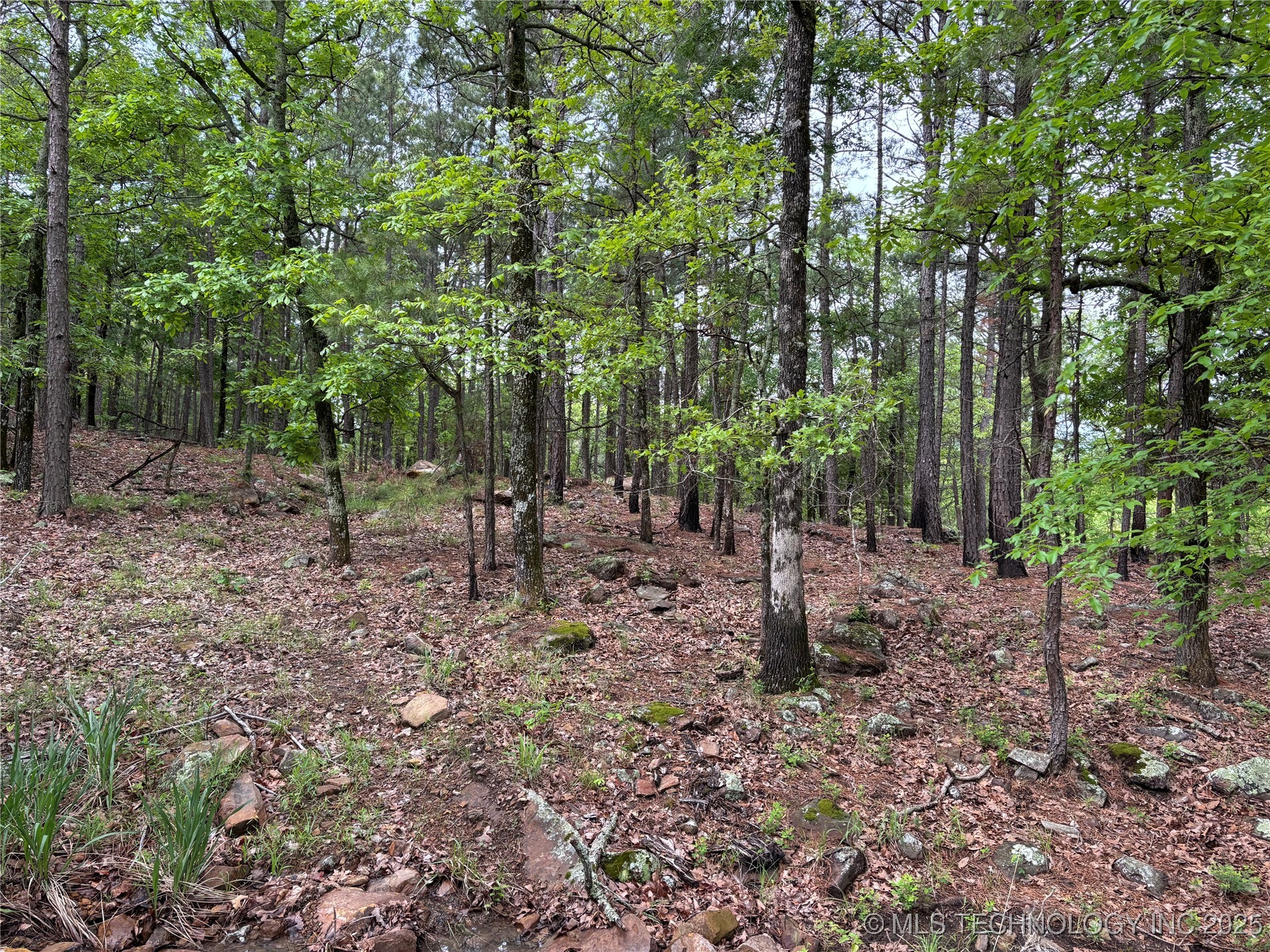 003 E Bolen Hollow W Property Photo 4