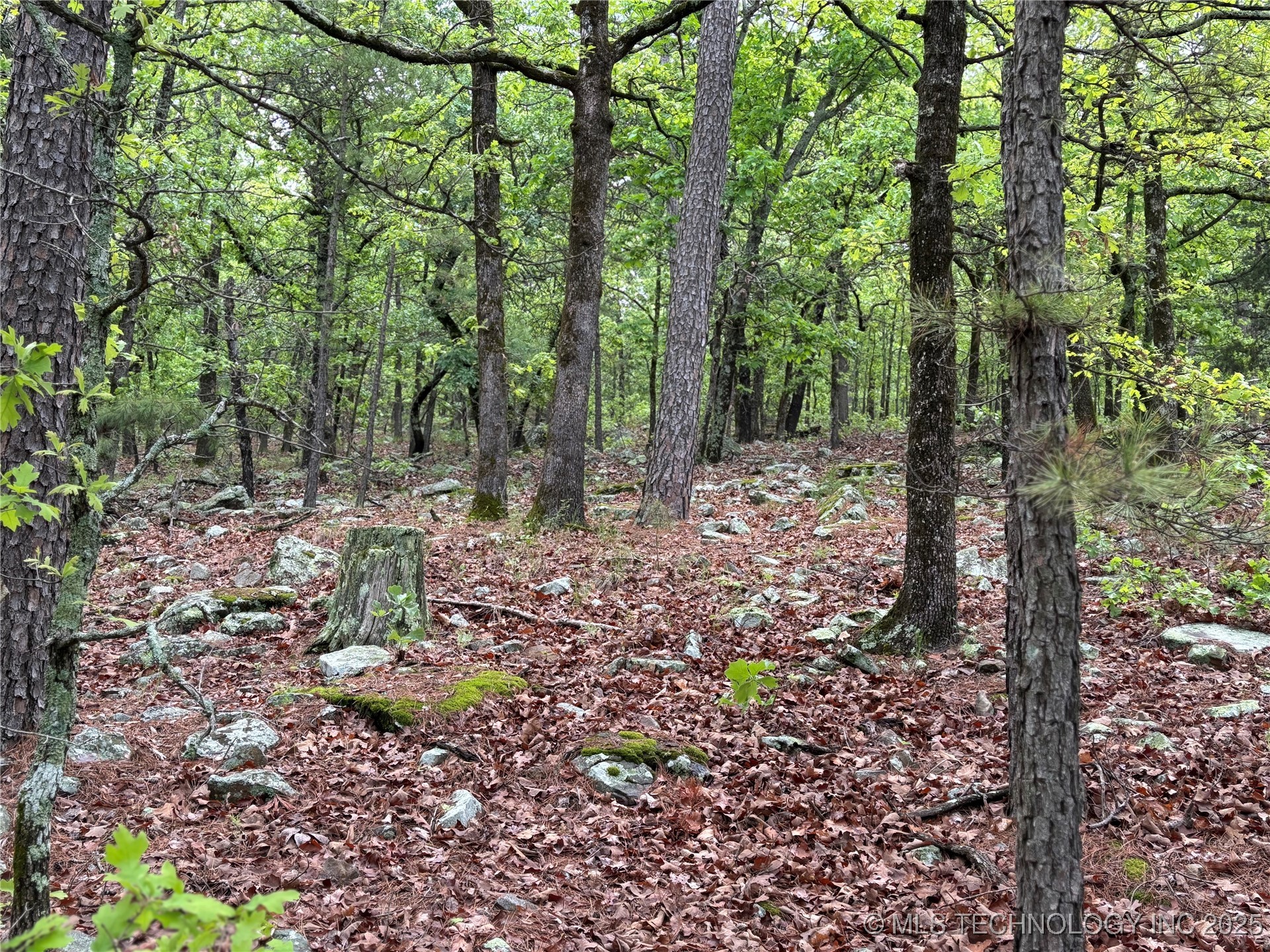 003 E Bolen Hollow W Property Photo 7