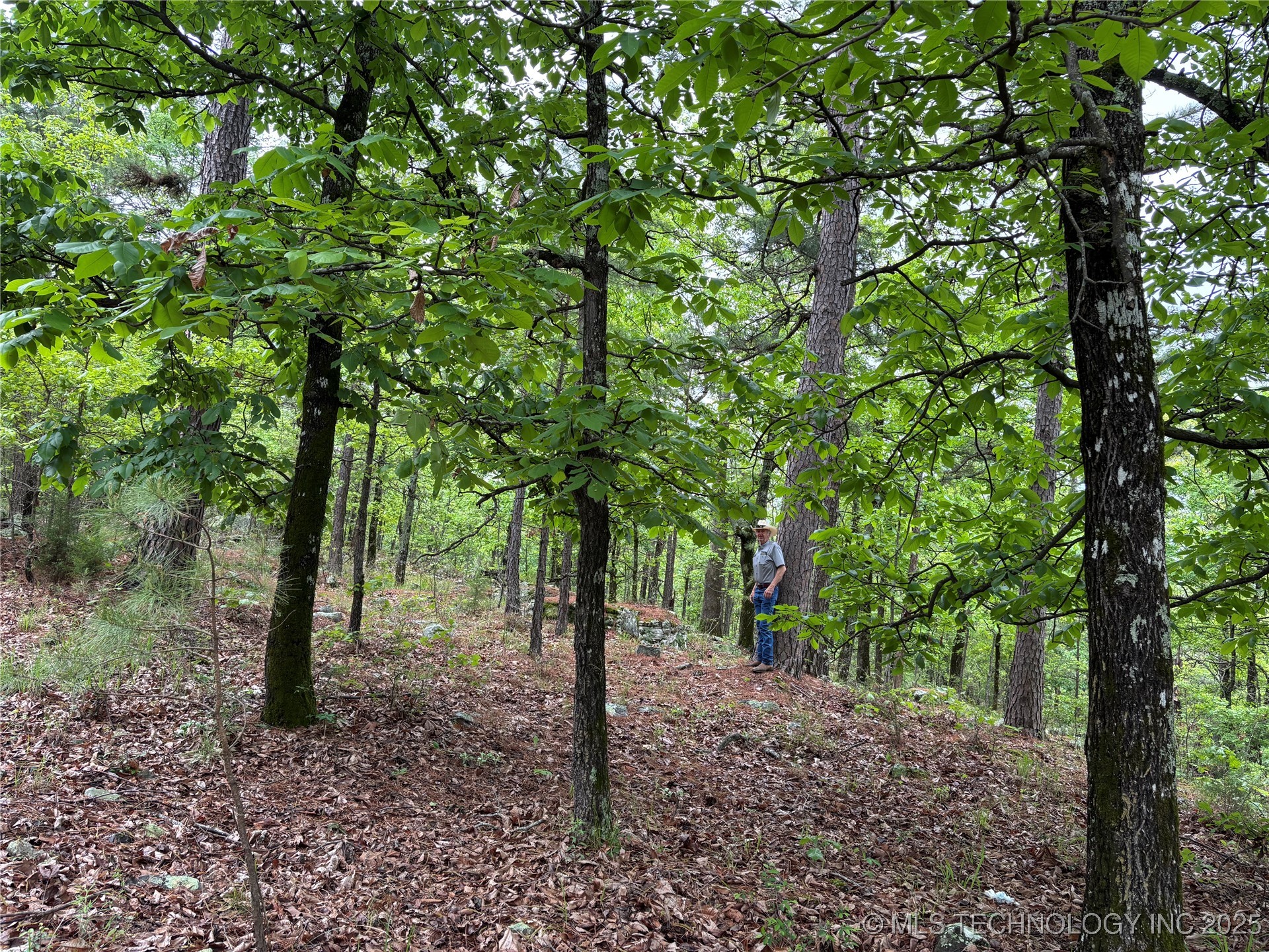 003 E Bolen Hollow W Property Photo 9