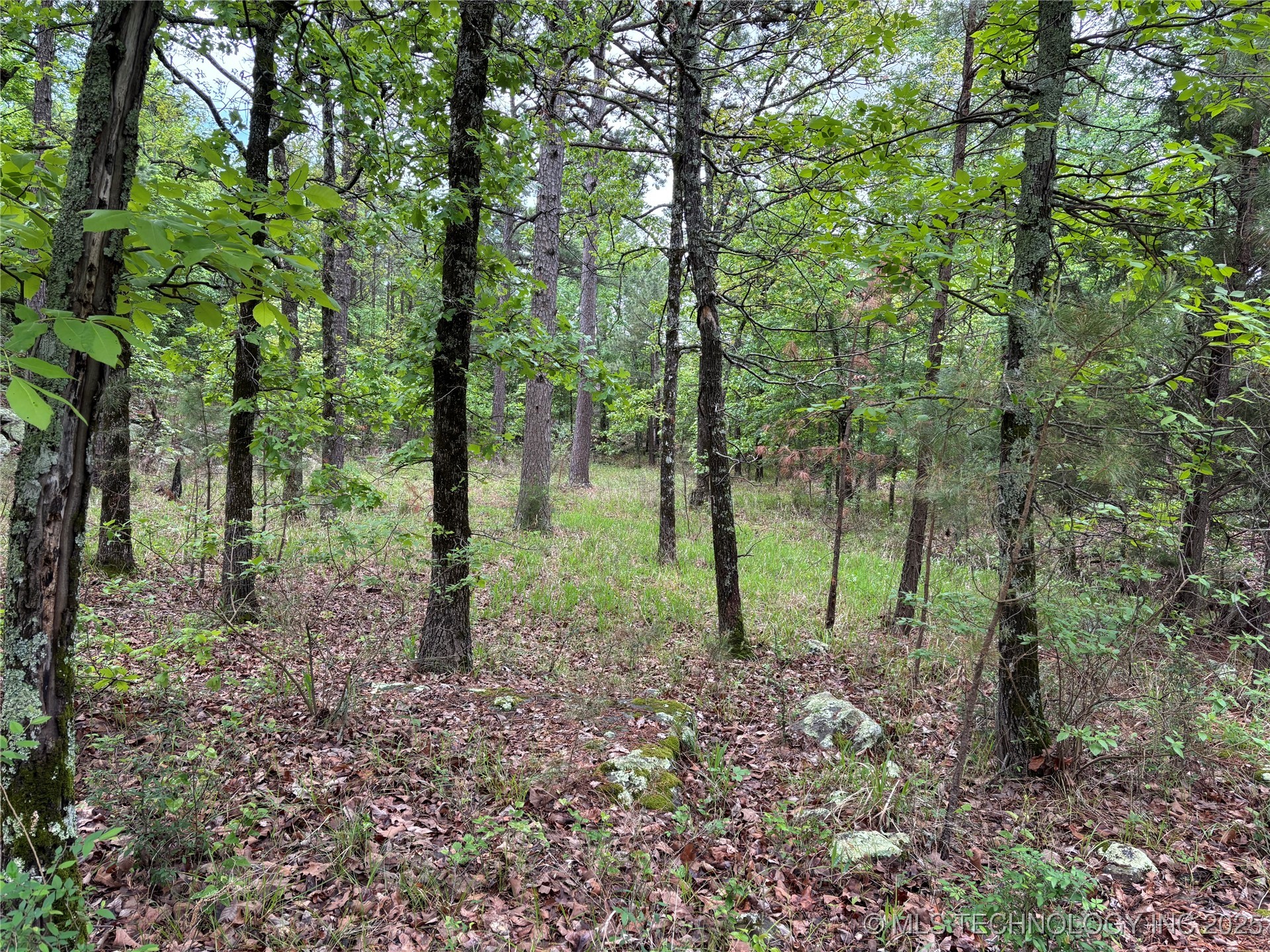 003 E Bolen Hollow W Property Photo 10