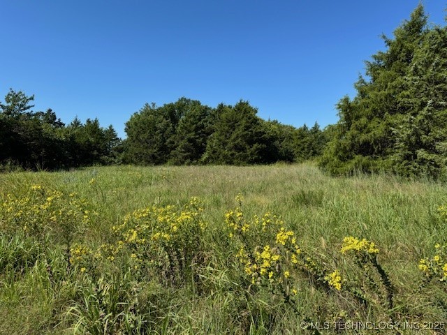 Grand Property Photo 6