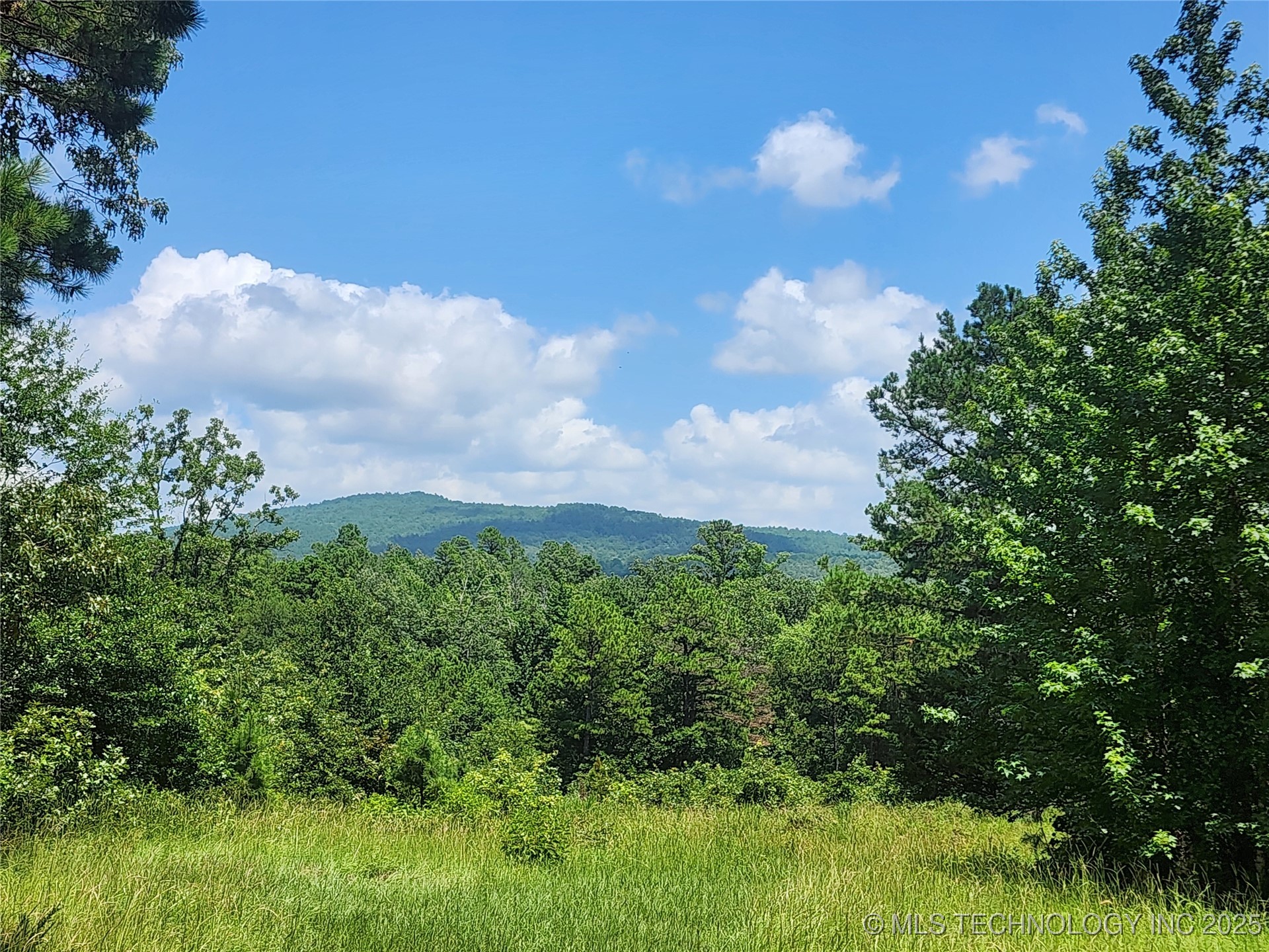Ruby Lane Property Photo 1