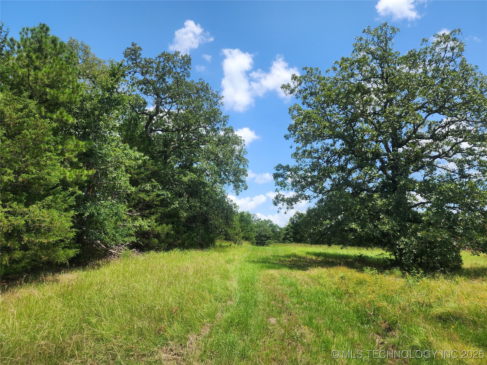 Ruby Lane Property Photo 2