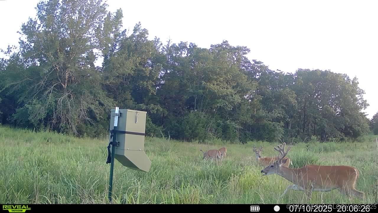 Ruby Lane Property Photo 3