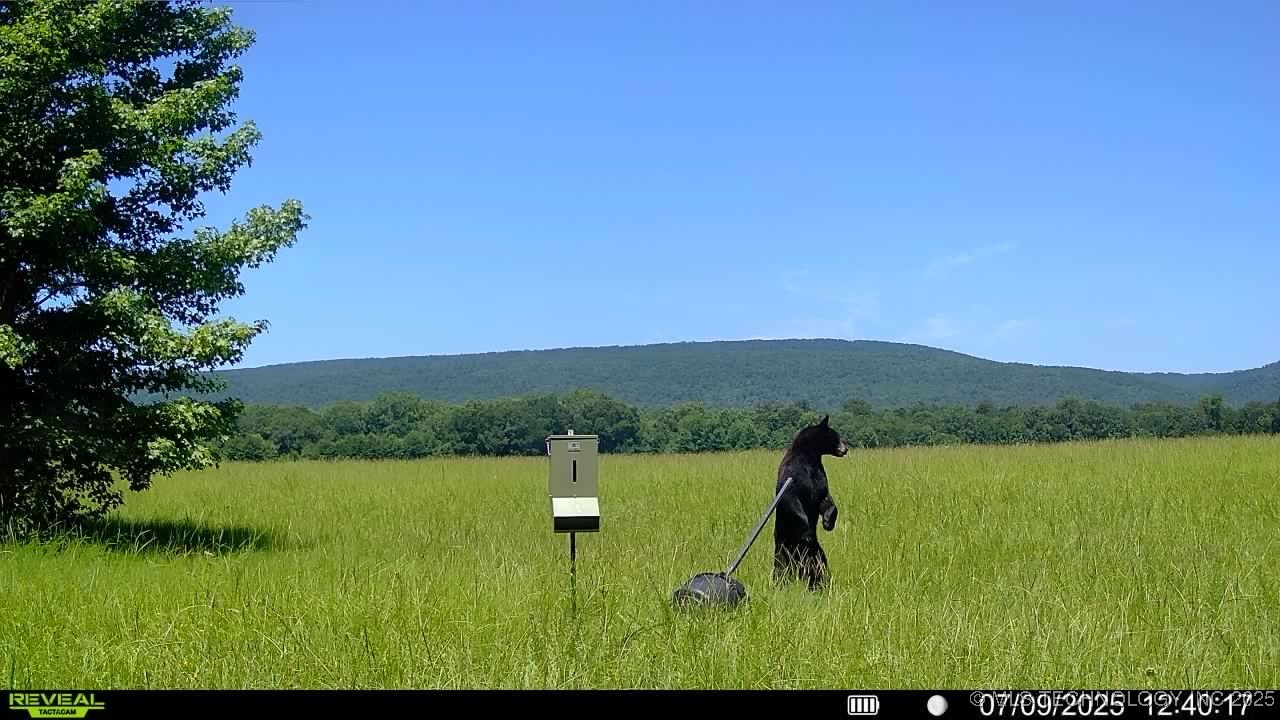 Ruby Lane Property Photo 6