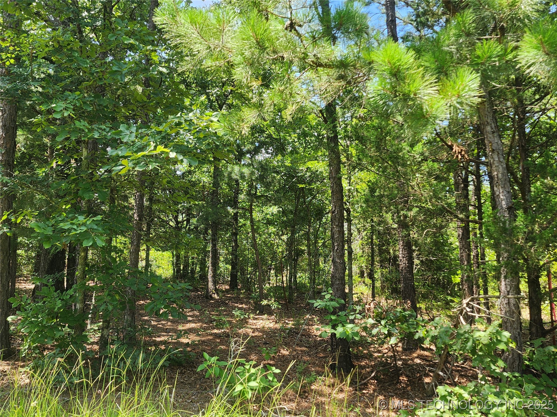 Ruby Lane Property Photo 7