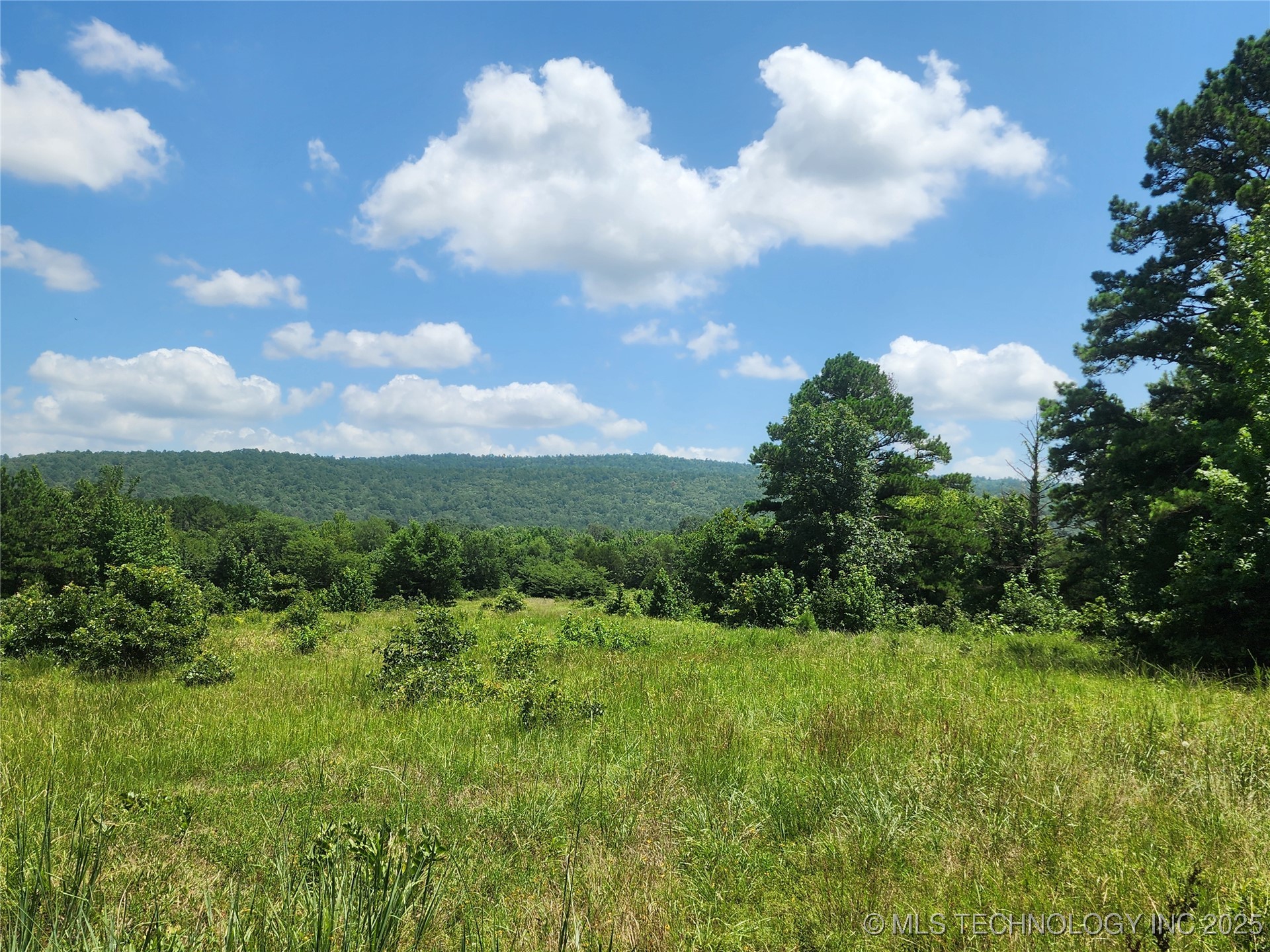 Ruby Lane Property Photo 8