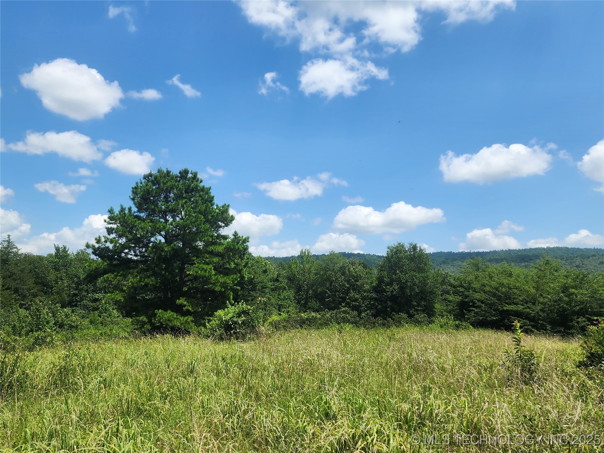 Ruby Lane Property Photo 9