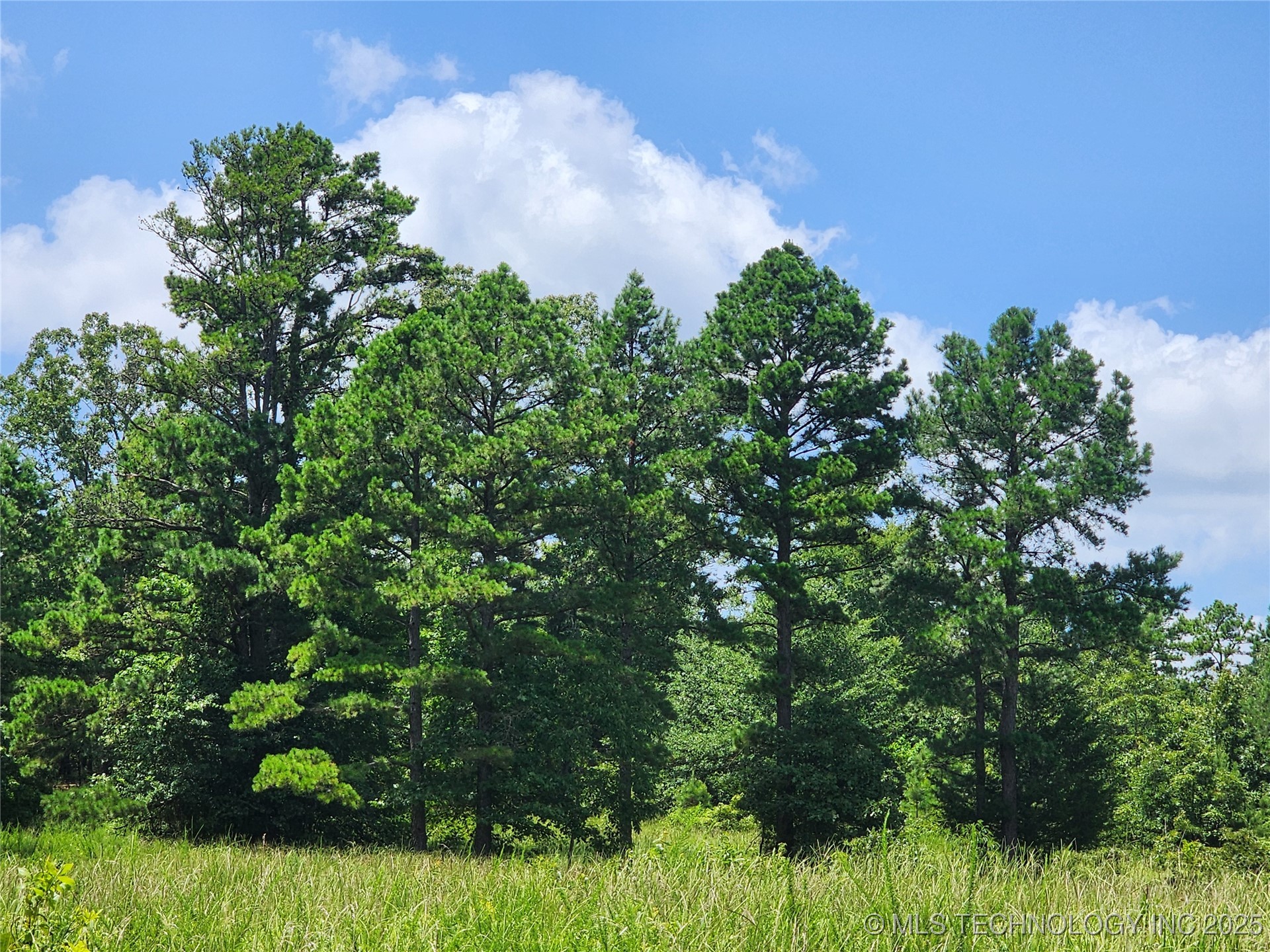 Ruby Lane Property Photo 10