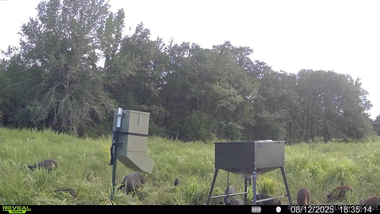 Ruby Lane Property Photo 15