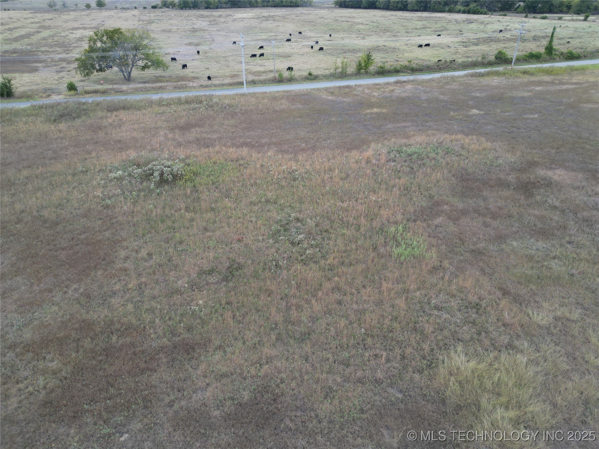 2 E Coon Creek Property Photo 9