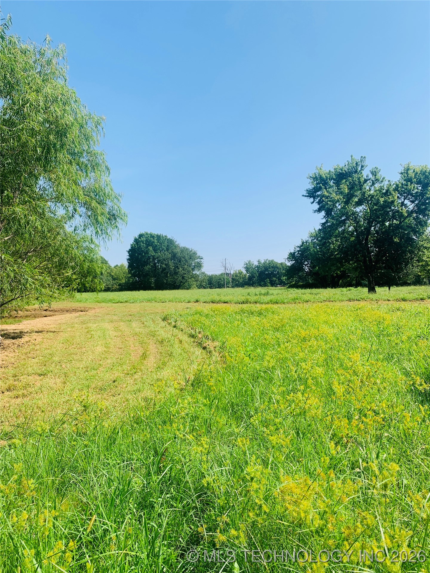 19018 Us Highway 64 Highway Property Photo 11