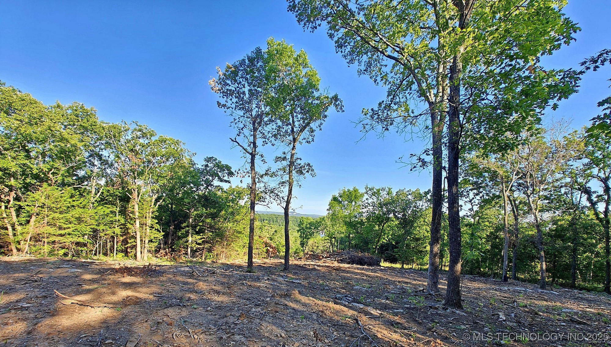 21595 W 888 Road Property Photo 5