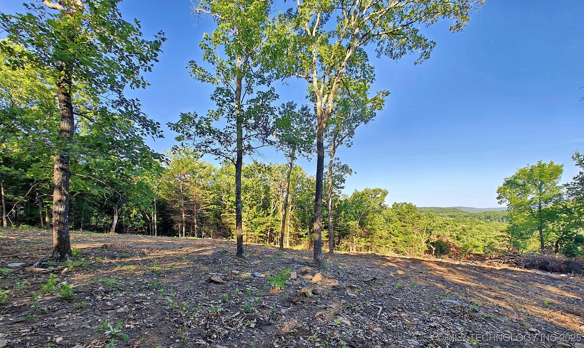 21595 W 888 Road Property Photo 6