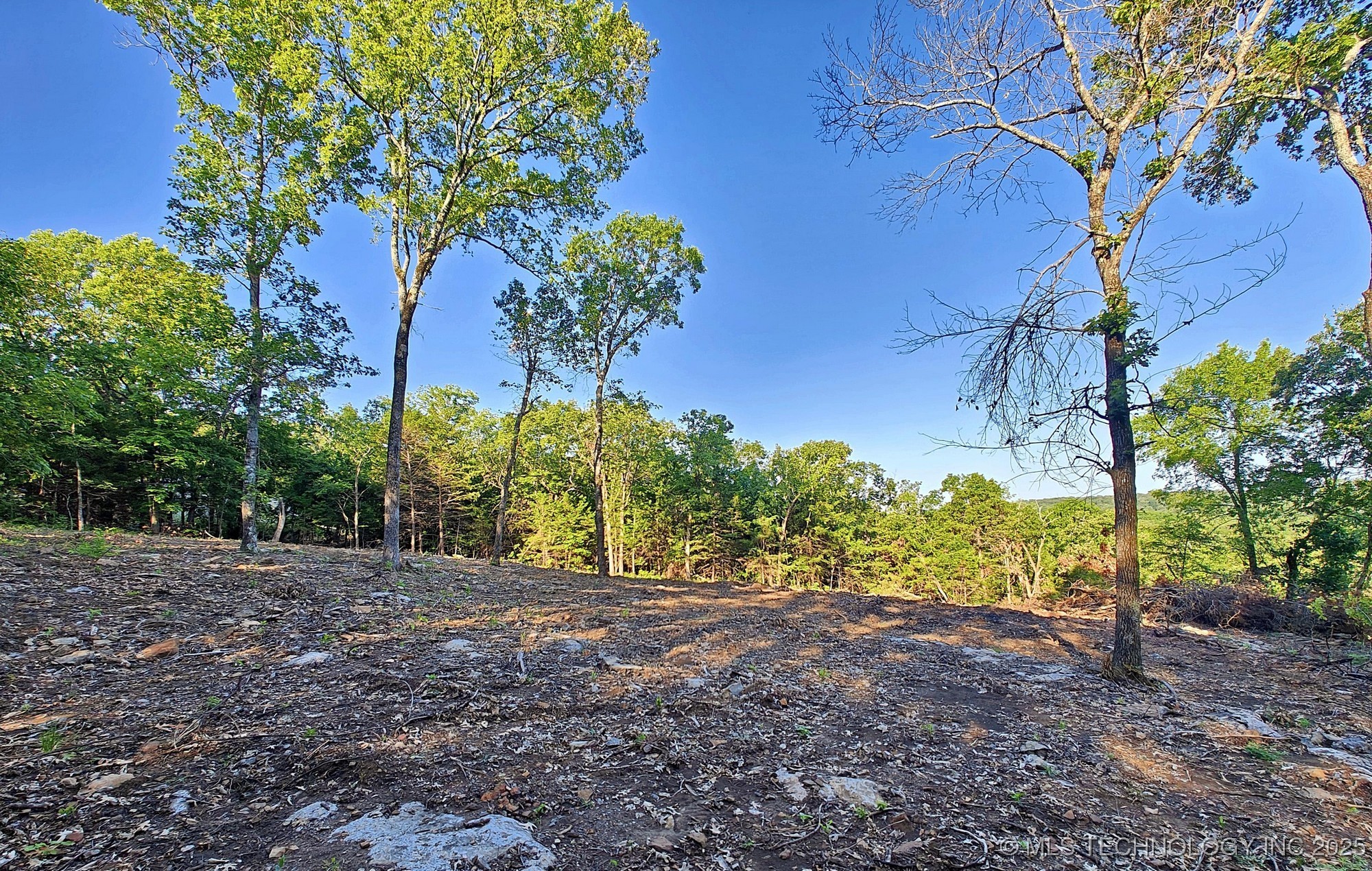 21595 W 888 Road Property Photo 7