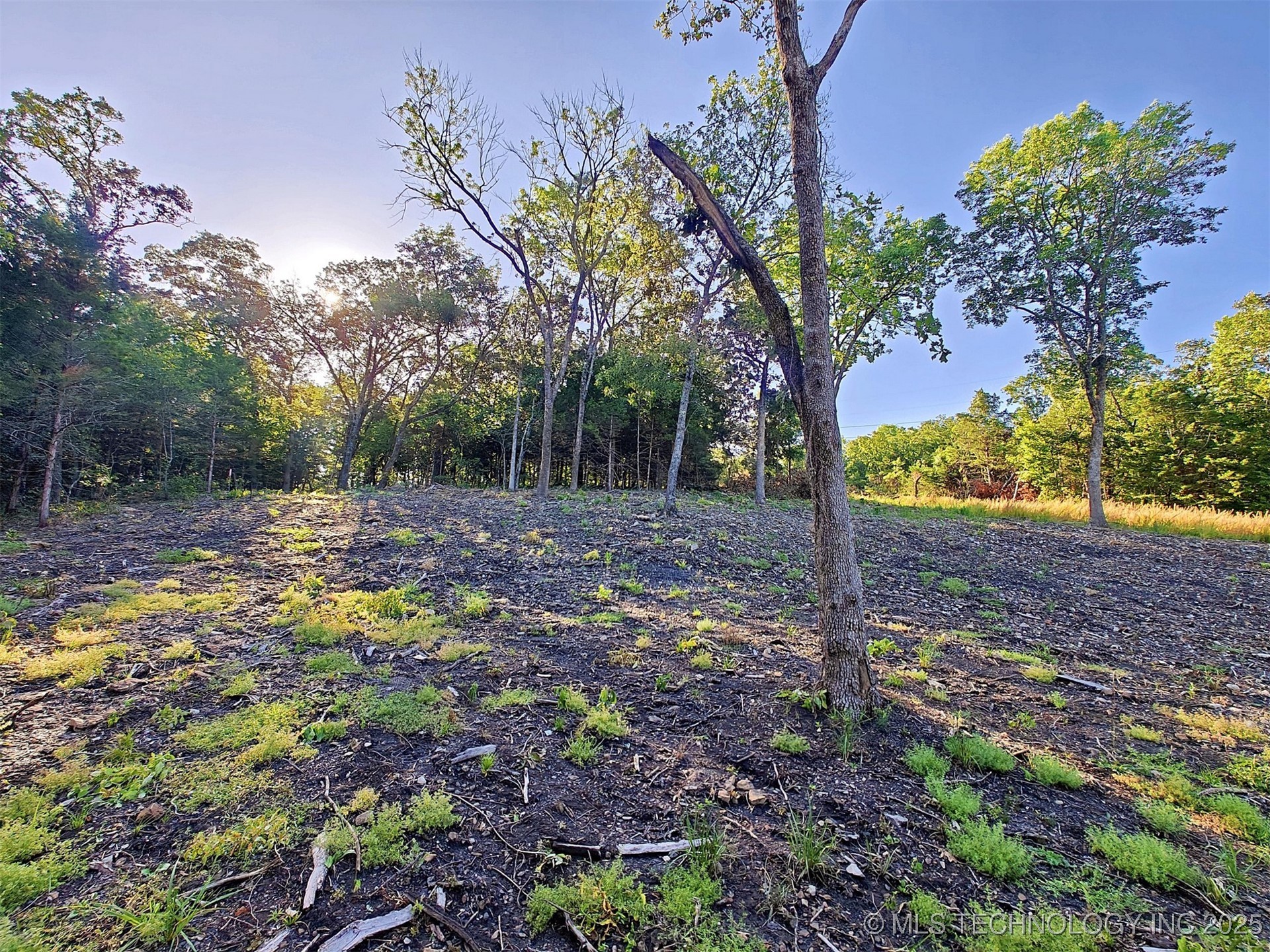 21595 W 888 Road Property Photo 12