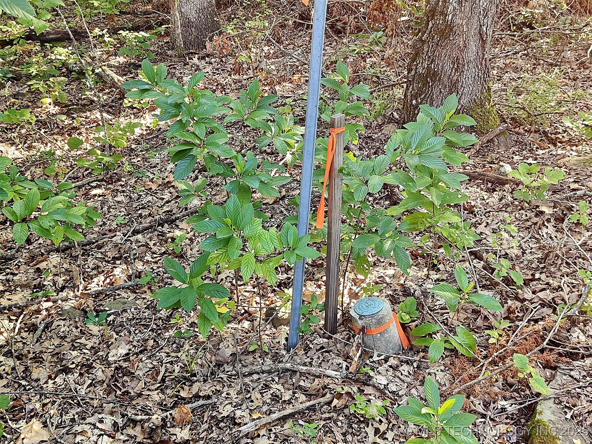 21595 W 888 Road Property Photo 17