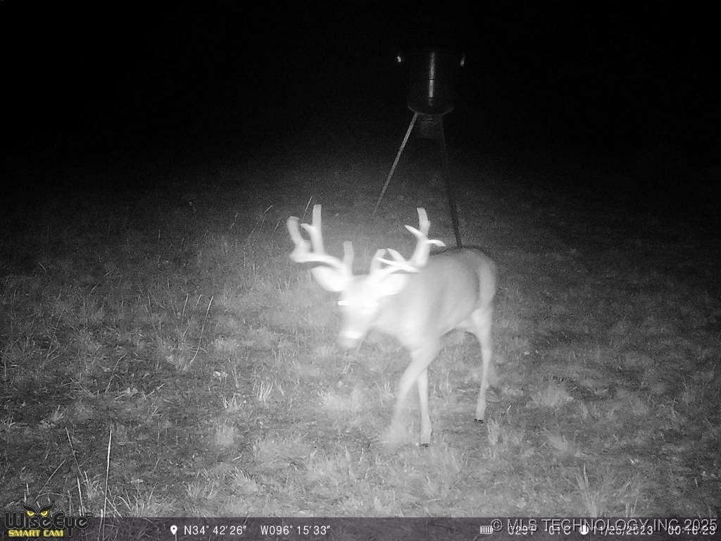 37968 County Road 1590 Property Photo 3