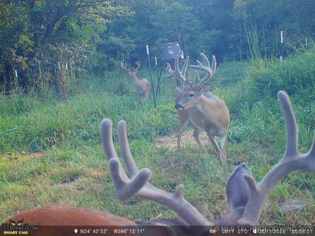 37968 County Road 1590 Property Photo 4