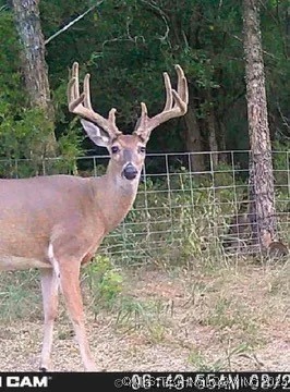 37968 County Road 1590 Property Photo 5