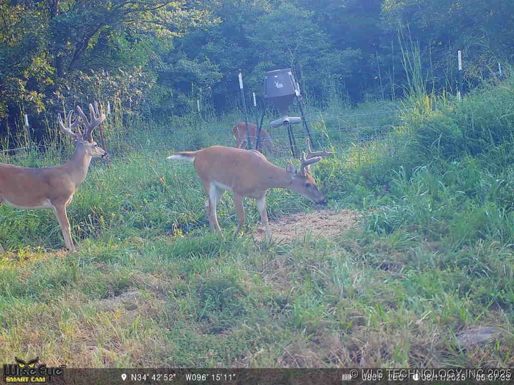 37968 County Road 1590 Property Photo 6