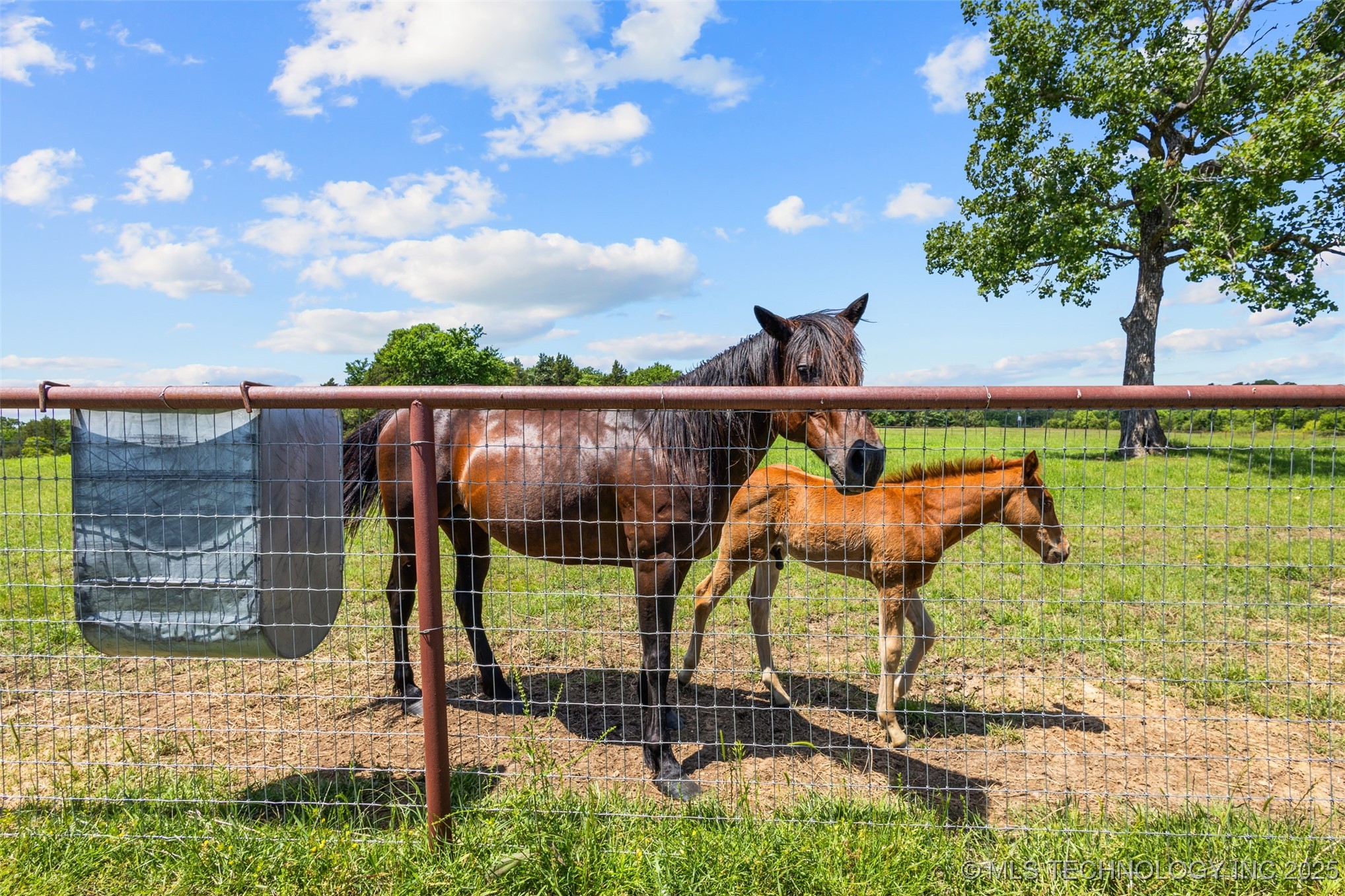 37968 County Road 1590 Property Photo 95