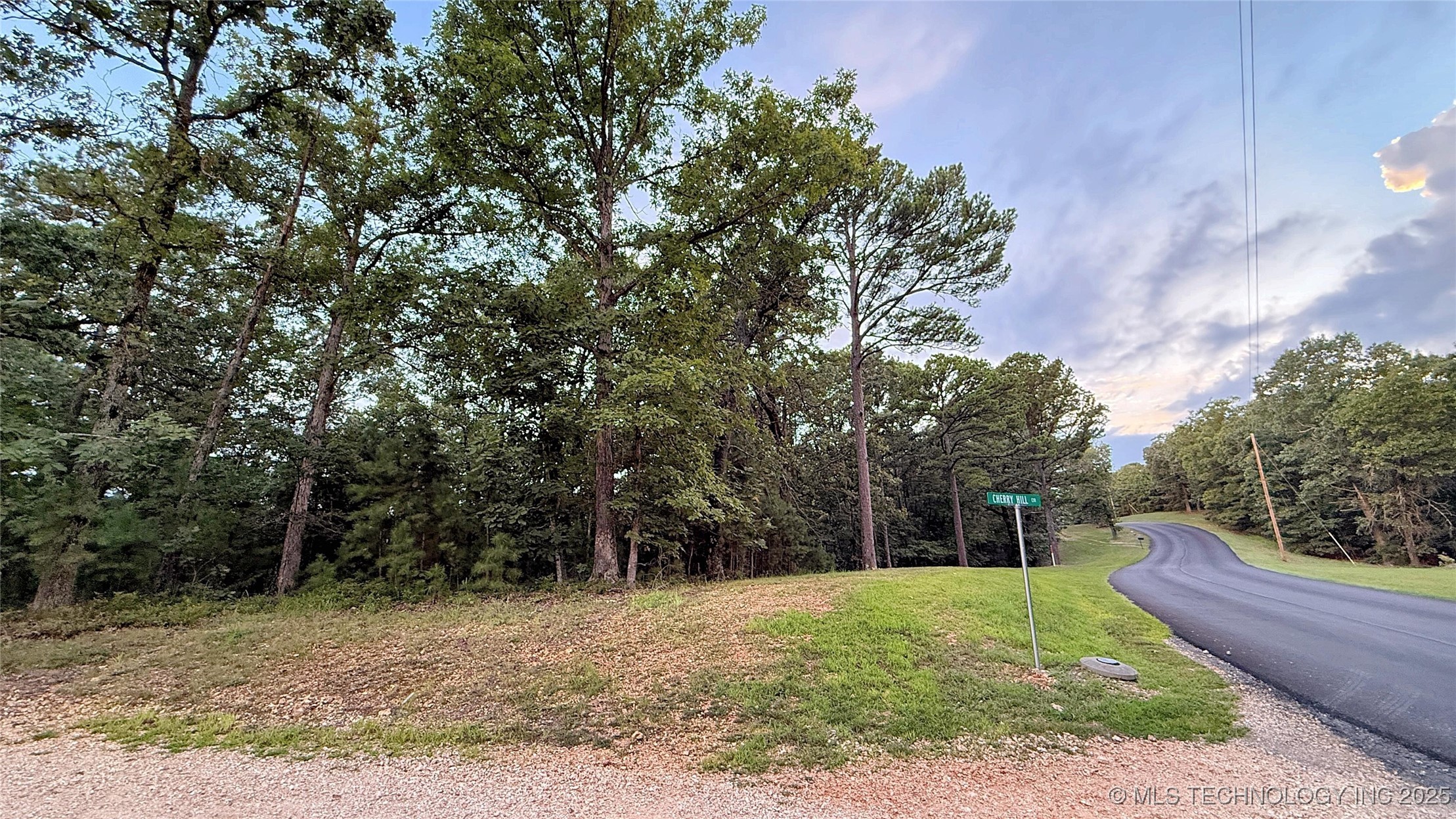 16232 Flint Ridge Drive Property Photo 3