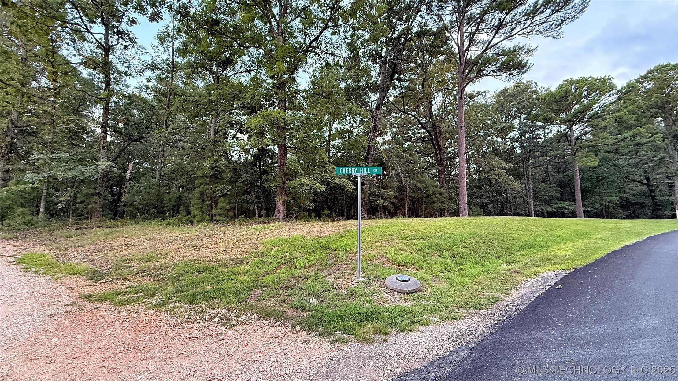 16232 Flint Ridge Drive Property Photo 5