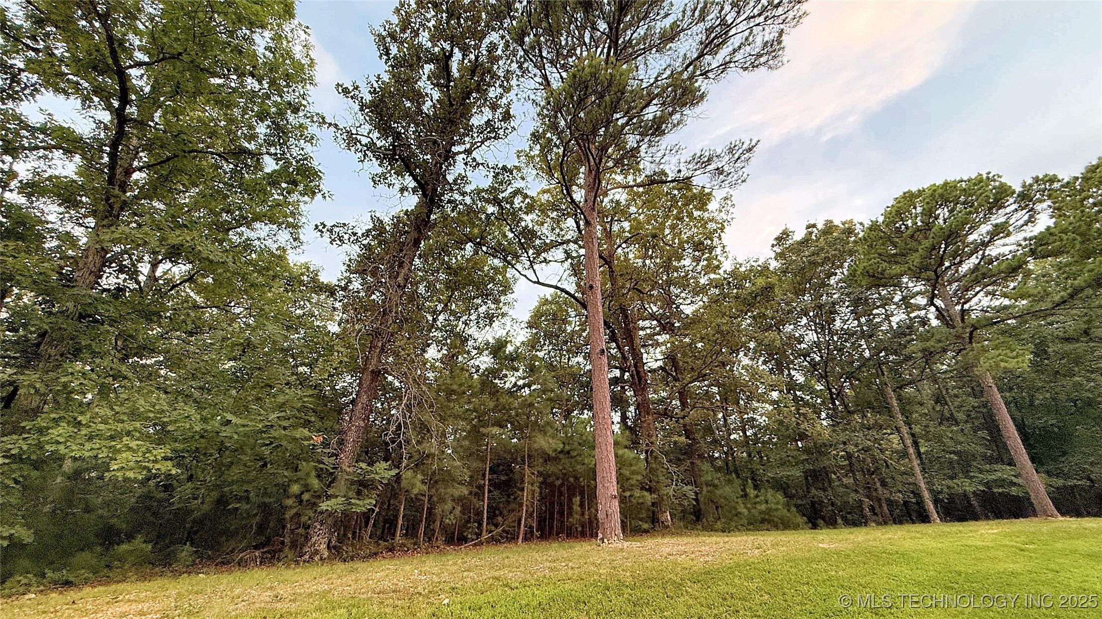 16232 Flint Ridge Drive Property Photo 7