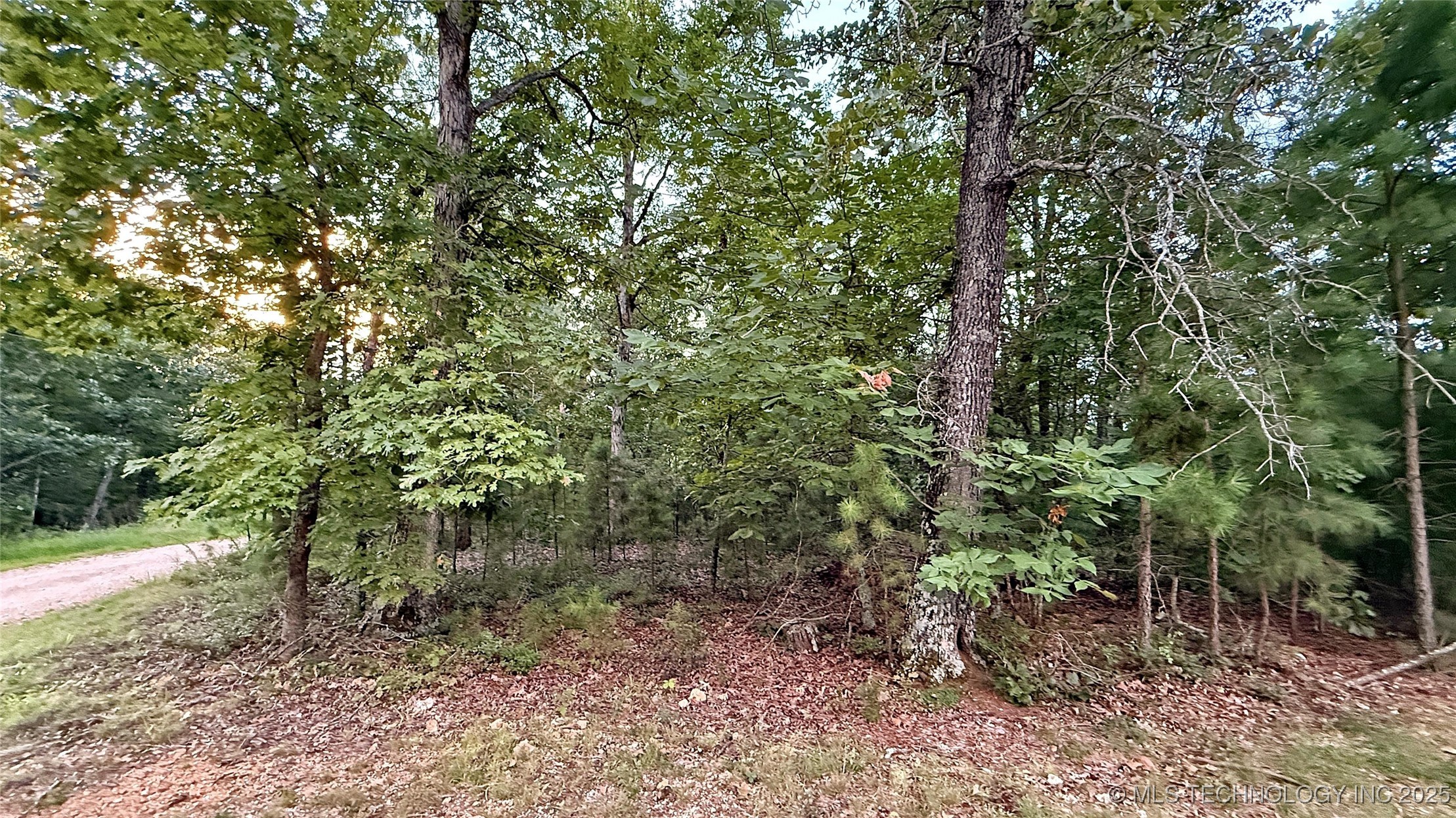 16232 Flint Ridge Drive Property Photo 9