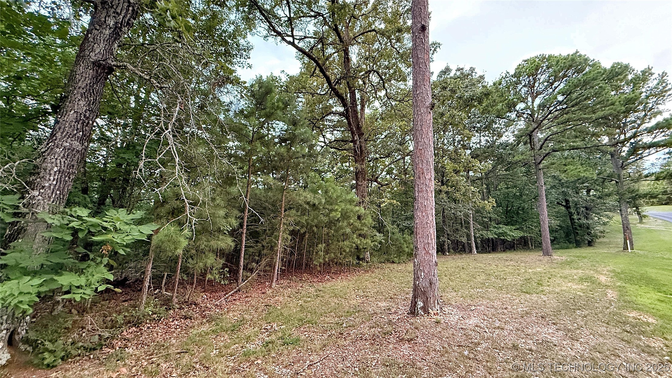 16232 Flint Ridge Drive Property Photo 10