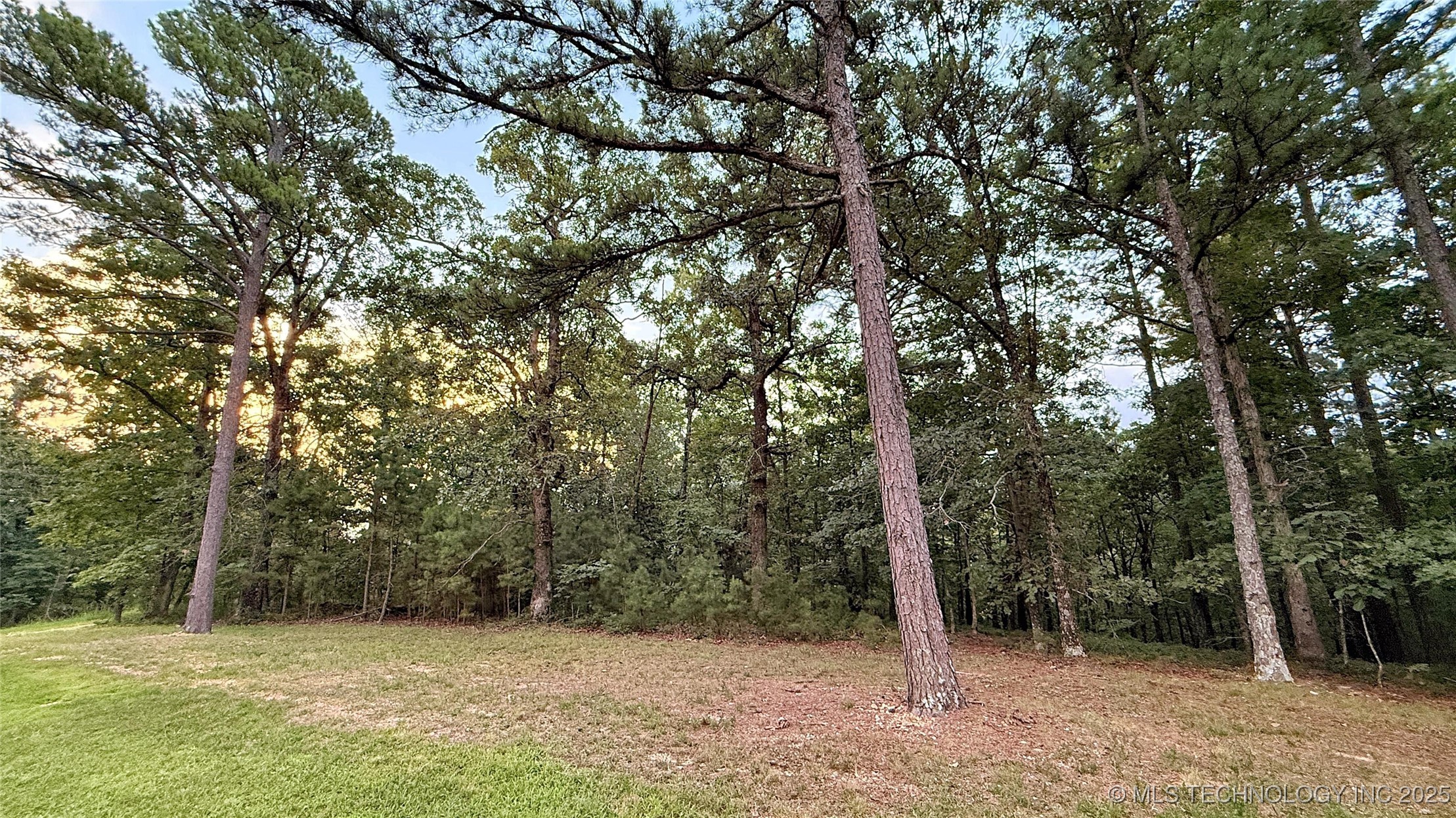 16232 Flint Ridge Drive Property Photo 11