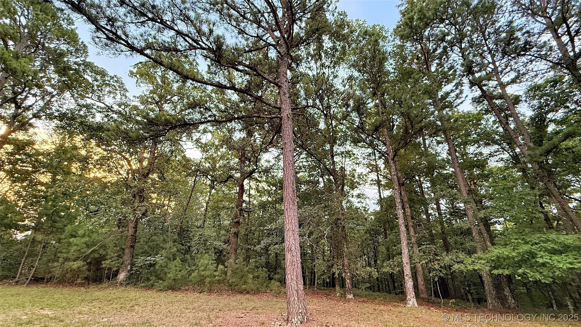 16232 Flint Ridge Drive Property Photo 12