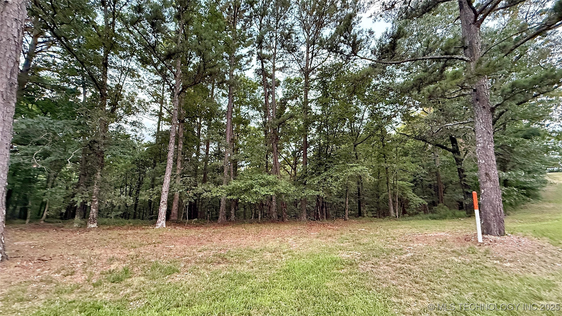 16232 Flint Ridge Drive Property Photo 13