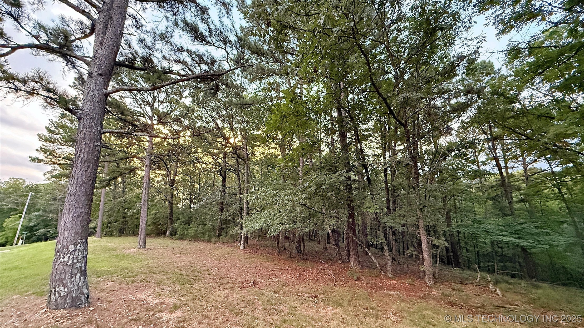 16232 Flint Ridge Drive Property Photo 14