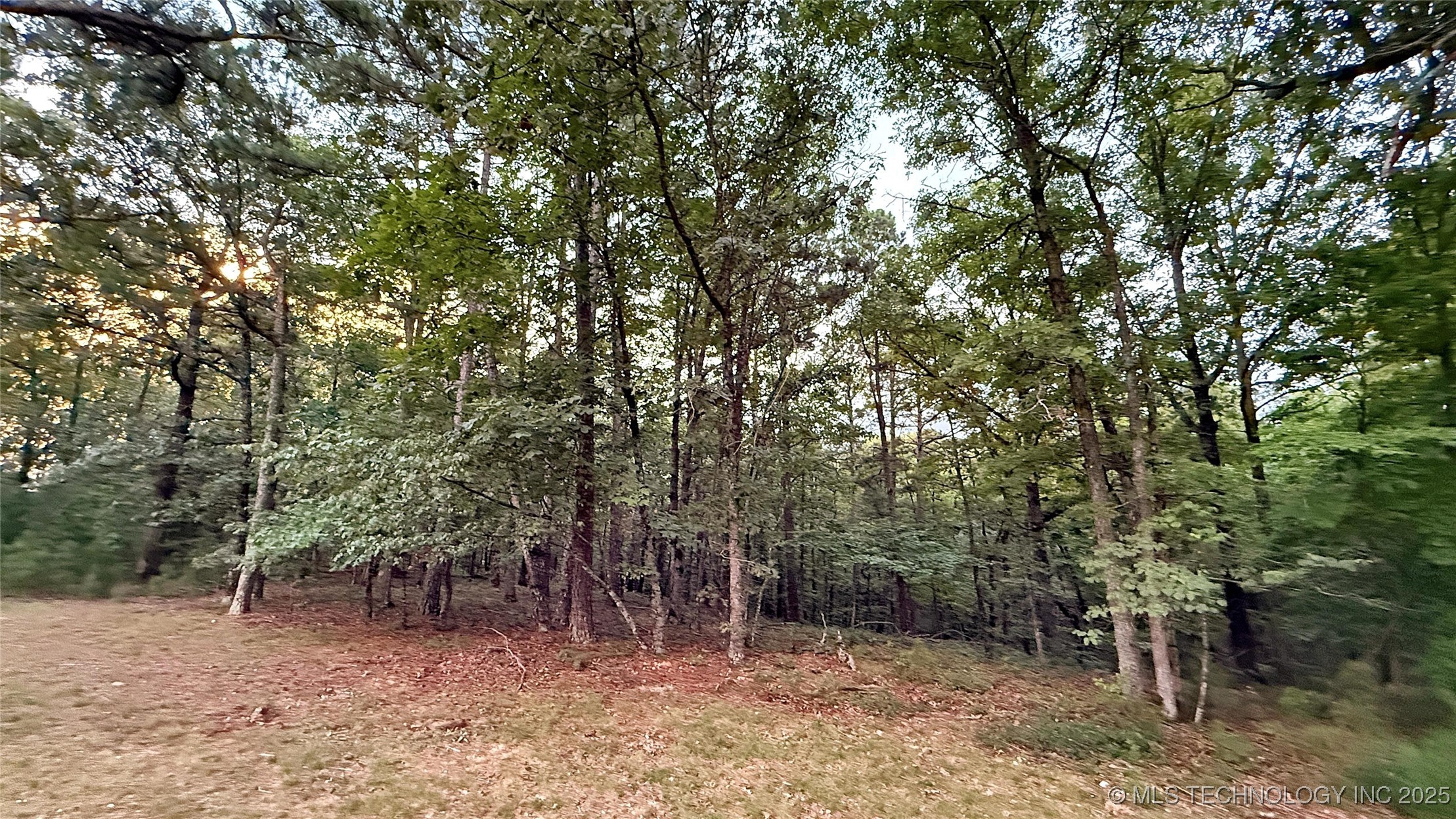 16232 Flint Ridge Drive Property Photo 15