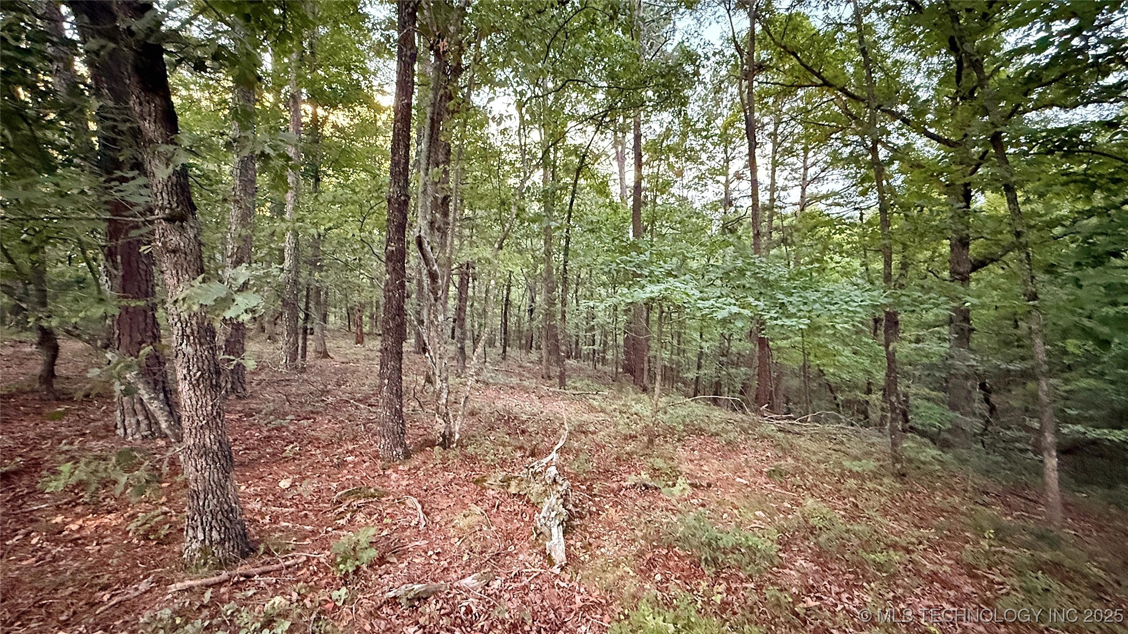 16232 Flint Ridge Drive Property Photo 16