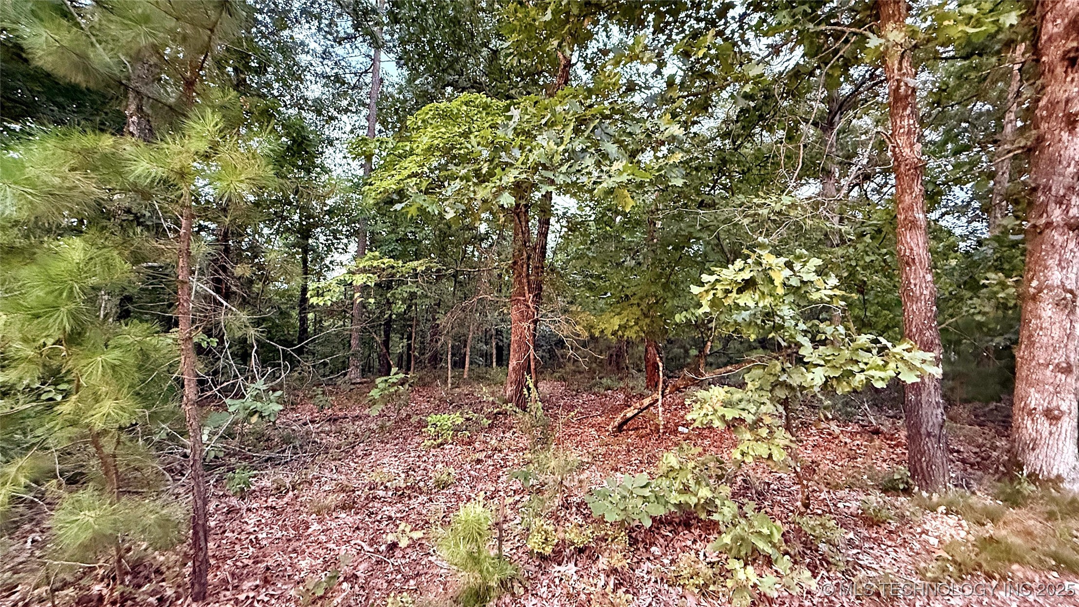 16232 Flint Ridge Drive Property Photo 17