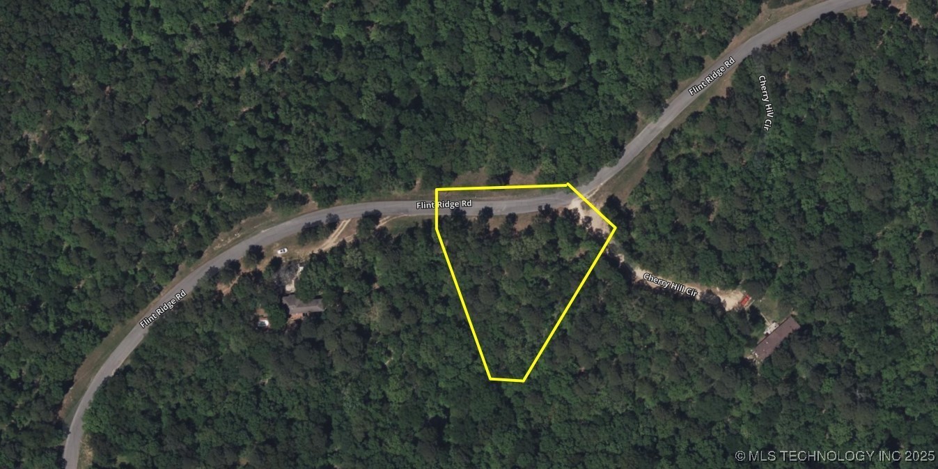 16232 Flint Ridge Drive Property Photo 18