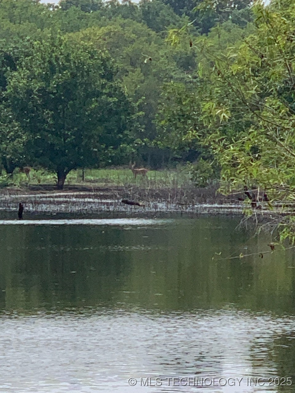 4000 Midway Road Property Photo 12