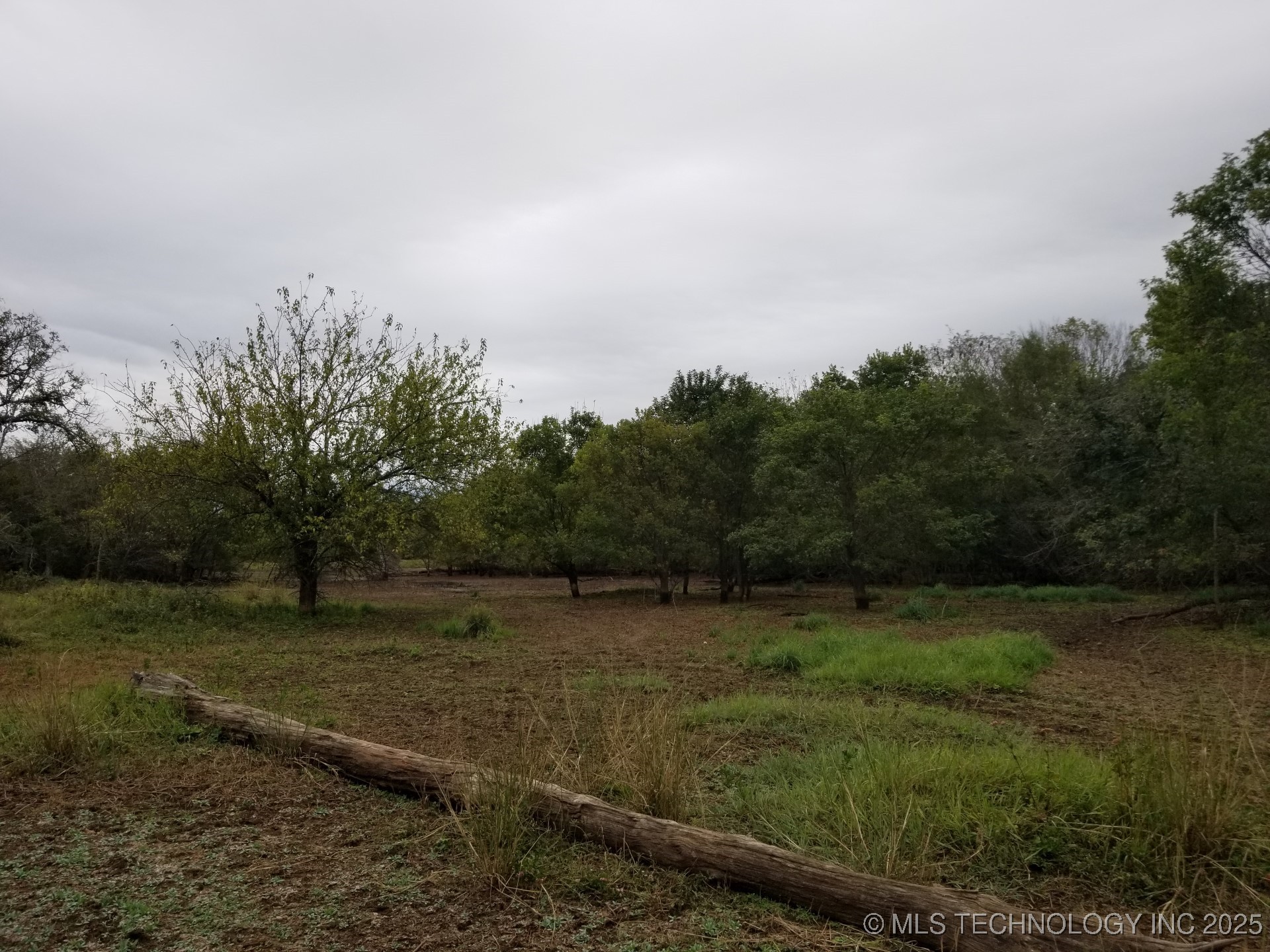 4000 Midway Road Property Photo 16