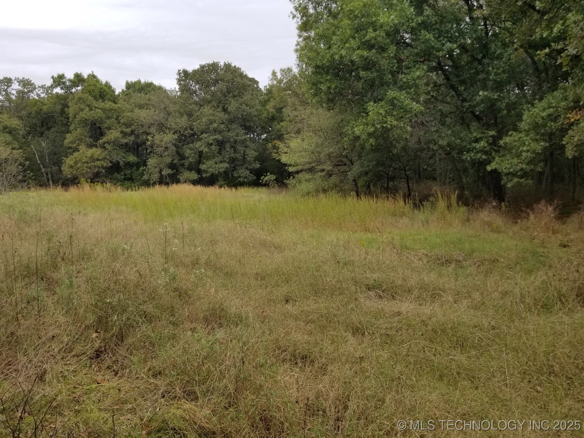 4000 Midway Road Property Photo 18