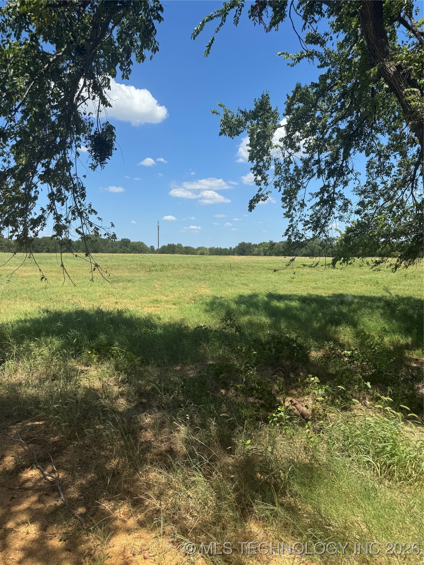 20253 Bales Road Property Photo 2