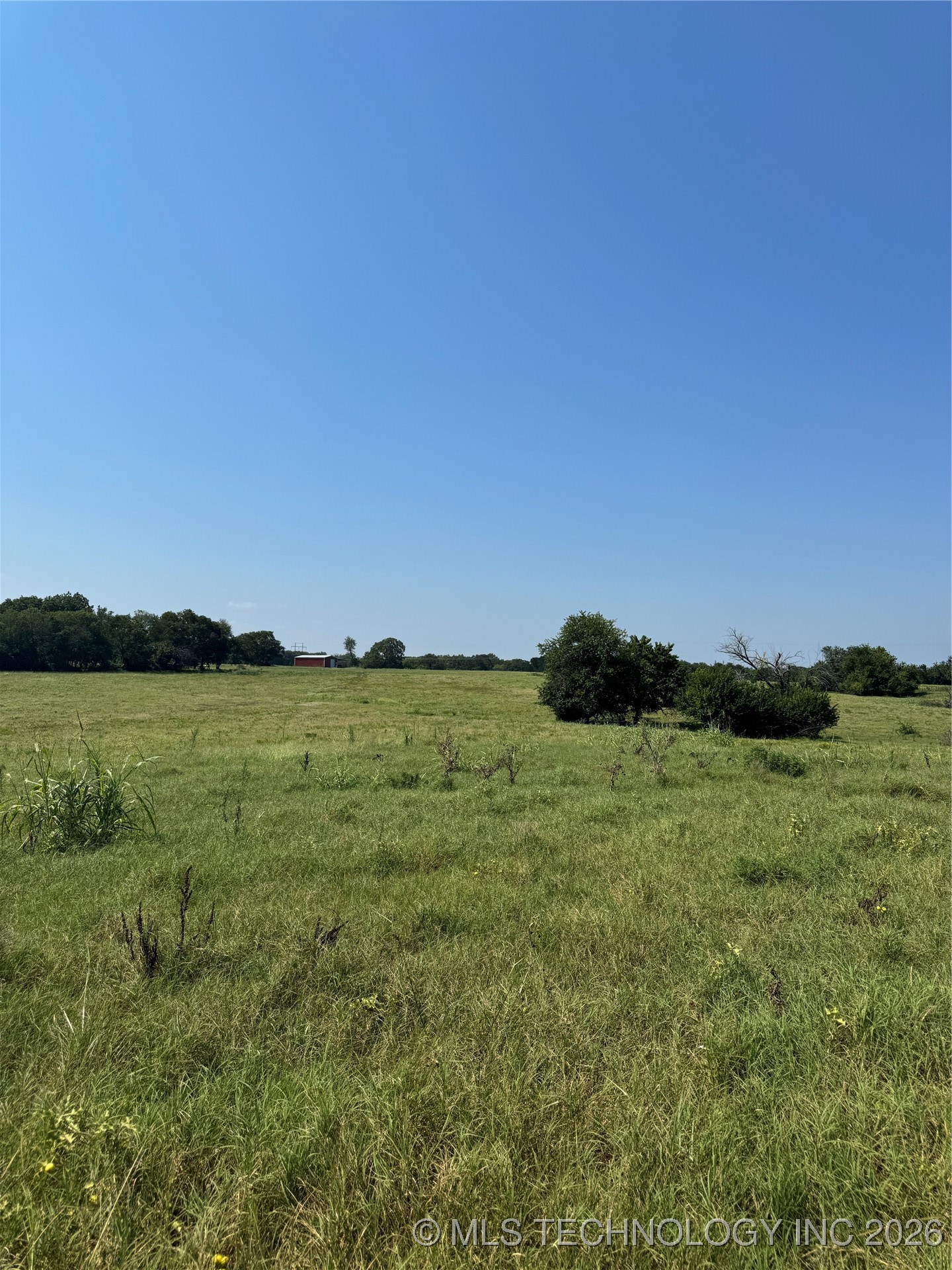 20253 Bales Road Property Photo 5