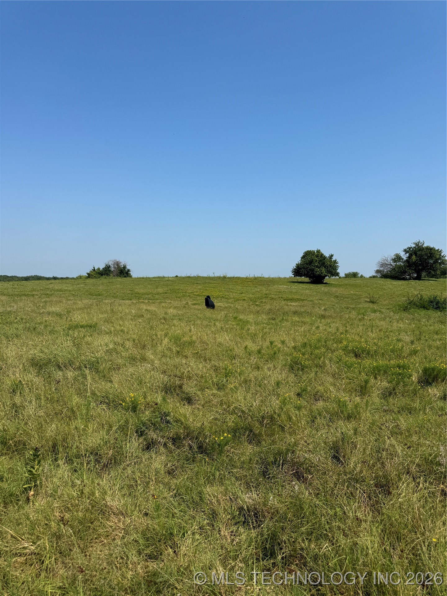 20253 Bales Road Property Photo 6