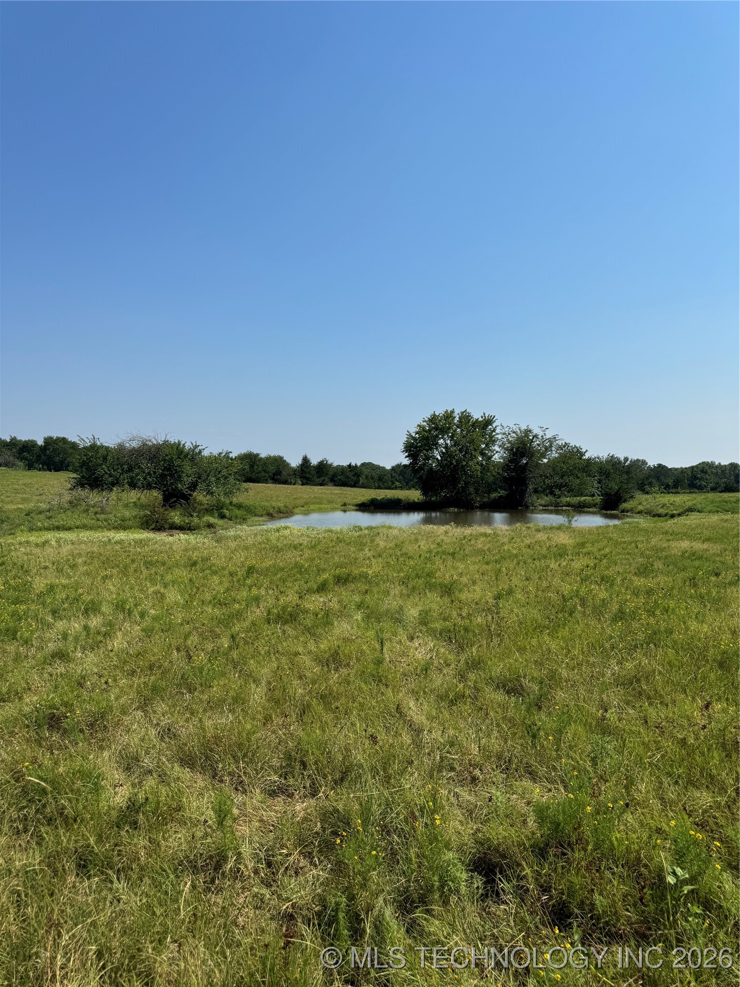 20253 Bales Road Property Photo 7