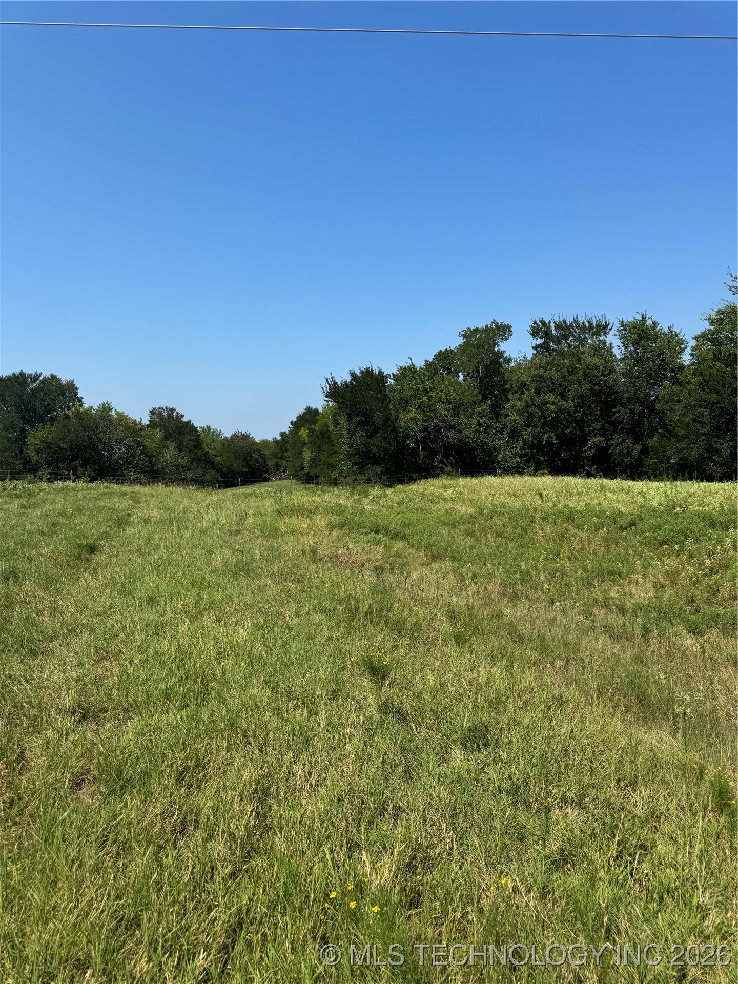 20253 Bales Road Property Photo 8