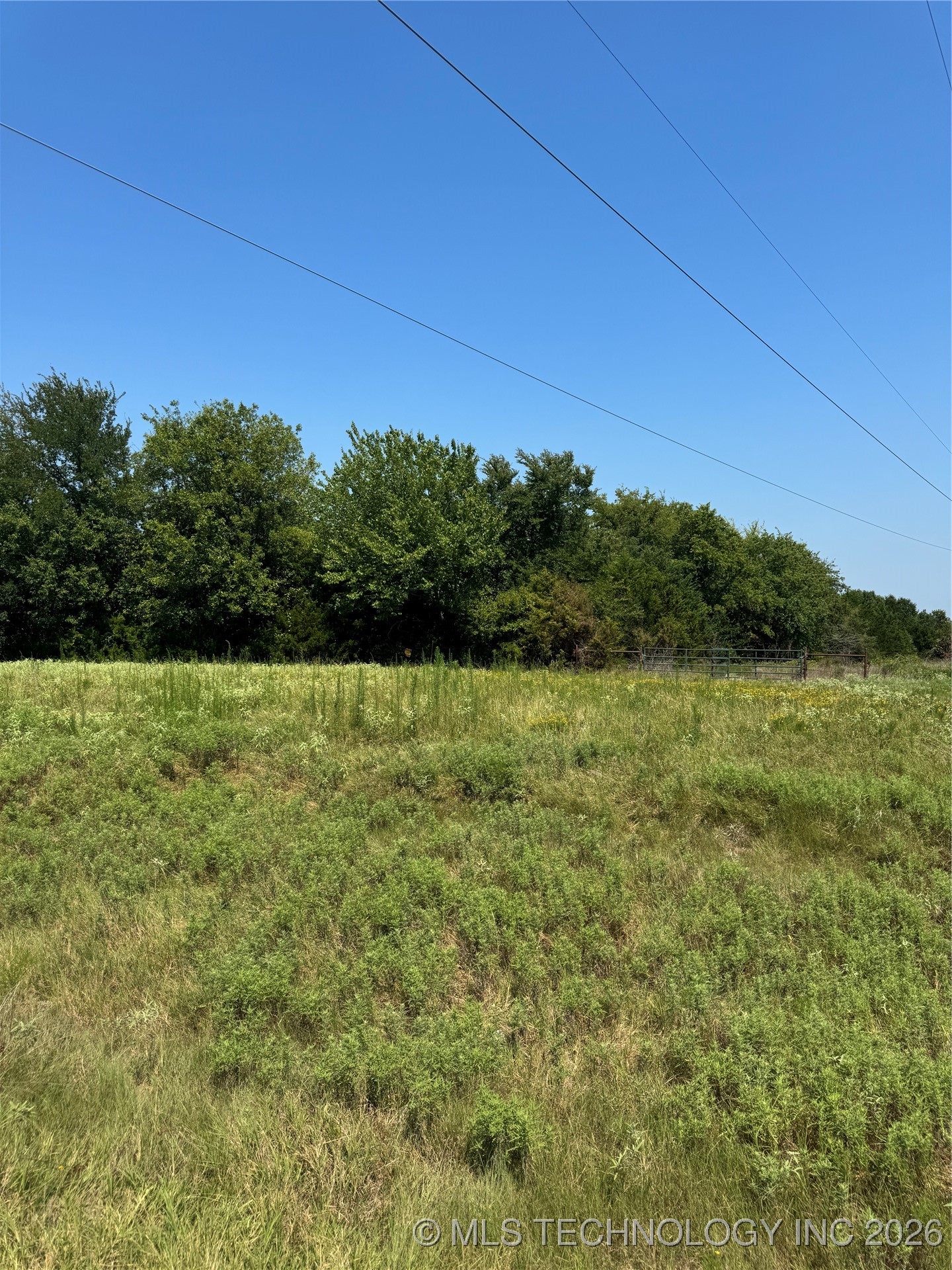 20253 Bales Road Property Photo 9